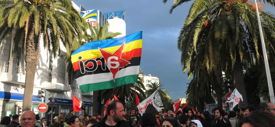 MANIFETAZIONE DI CHIUSURA DEL FMS 2013 A TUNISI DEDICATA ALLA PALESTINA