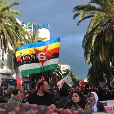 MANIFETAZIONE DI CHIUSURA DEL FMS 2013 A TUNISI DEDICATA ALLA PALESTINA