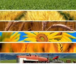 sicurezza alimentare