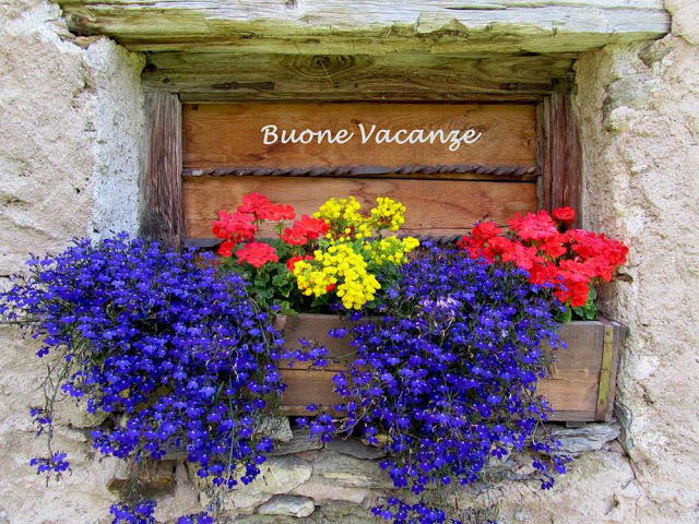 BUONE-VACANZE-a25213889