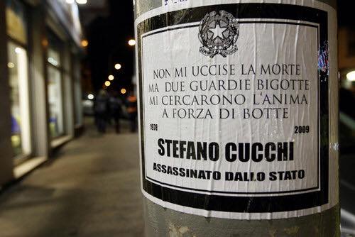 cucchi