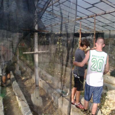 VENTIMILGIA CAMPILEG 2